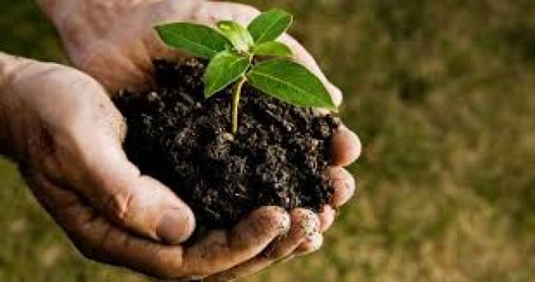 73 වන නිදහස් දින සමරු උළෙලට සමගාමීව රුක් රෝපණ වැඩසටහනක්