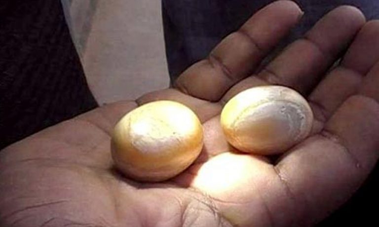 ගජමුතු අලෙවියට ගිය අයෙකුට සිදු වූ දෙයක්