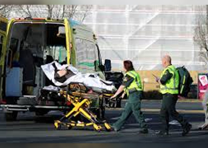 නවසීලන්තයේ පිහි ඇනුමක්   – තිදෙනෙකුට  බරපතළයි