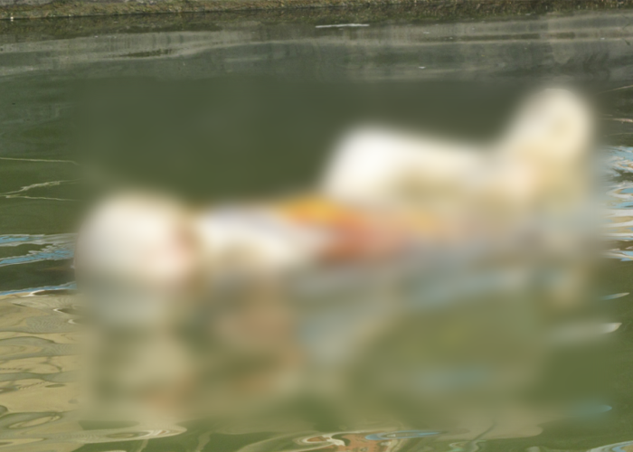 ඉන්දියාවේ ගංගා නදියේ කොවිඩ් සිරුරු පාවේ