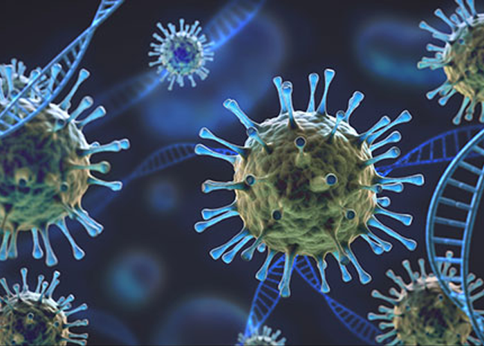 කොවිඩ් ප්‍රභේදයේ විකෘතියක් වන ‘ඩෙල්ටා ප්ලස්’ ප්‍රභේදය