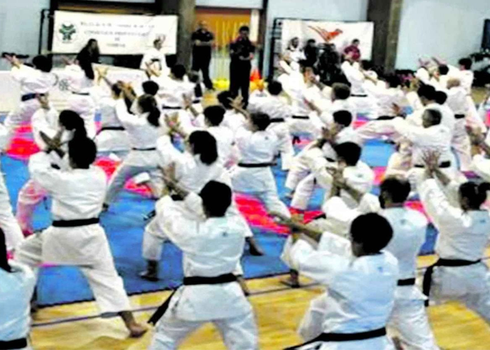 චීනයේ සටන් පුහුණු පාසලක ගින්නක්