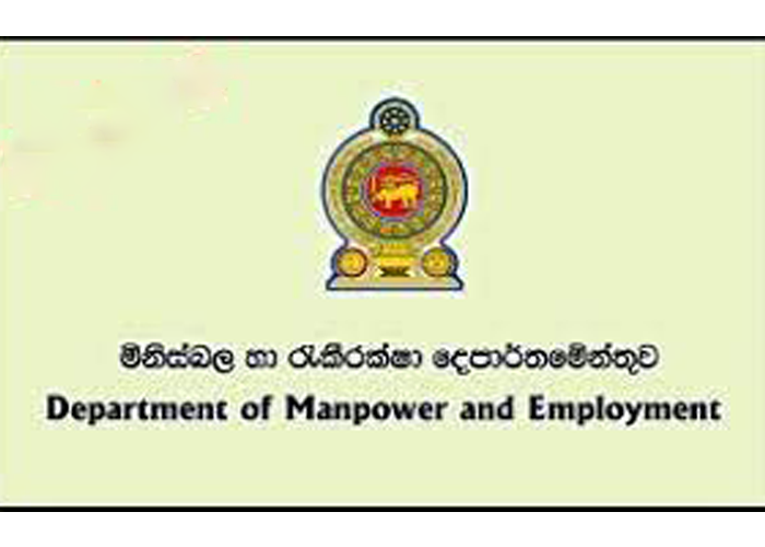 මිනිස්බල දෙපාර්තමේන්තුවෙන් වෘත්තීය මාර්ගෝපදේශ වැඩසටහනක්