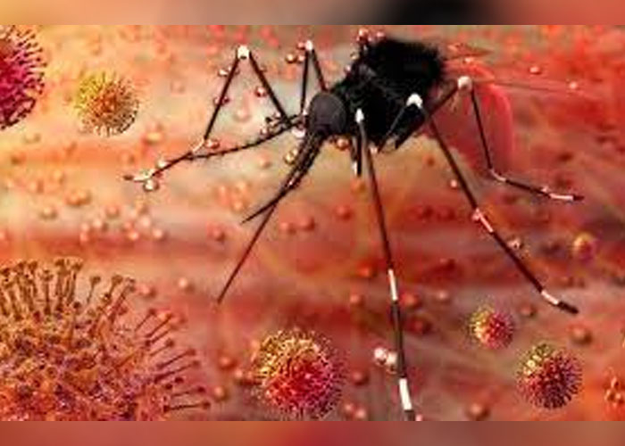 ඉන්දියාවේ කේරළ ප්‍රාන්තයේ හදිසි අවදානම් තත්ත්වයක් ප්‍රකාශයට පත් කෙරේ