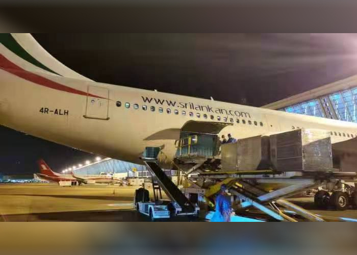 තවත් සයිනොෆාම් එන්නත් මිලියනයක් මෙරටට රැගෙන එයි