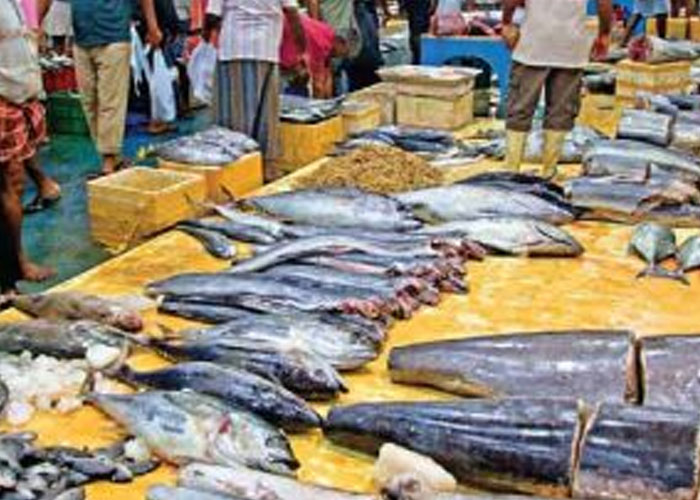 පෑලියගොඩ මාළු වෙළෙඳ සංකීර්ණය විවෘත වෙයි