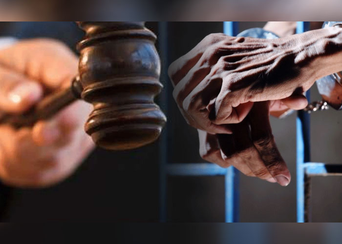රිෂාඩ්ගේ බිරිඳ ඇතුළු සැකකරුවන් 04 දෙනා ලබන 23 වැනිදා දක්වා යළි රක්ෂිත බන්ධනාගාරයට
