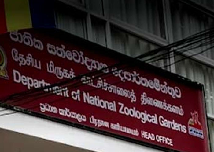 ඉෂිනි වික්‍රමසිංහ සිය ධුරයෙන් ඉල්ලා  අස්වෙයි