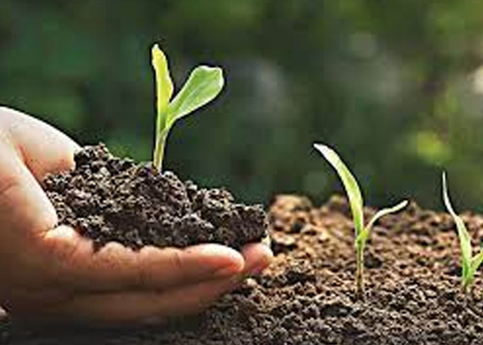 තවමත් විසදුම් නැති පොහොර ප්‍රශ්නය