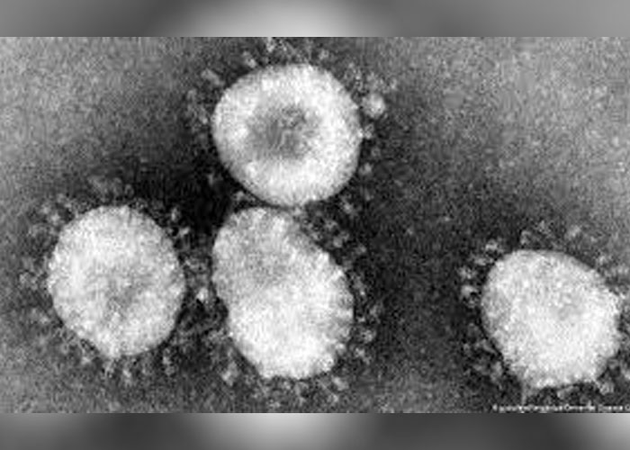 ඉන්දියාවේ නව වෛරස් උණක් පැතිරයාමෙන් 50ක පිරිසක් මරුට