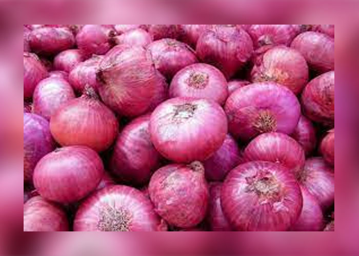 බීජ ළූණු රට තුළම හදන සෞභාග්‍යයේ දැක්මට අයත් ඇළහැර