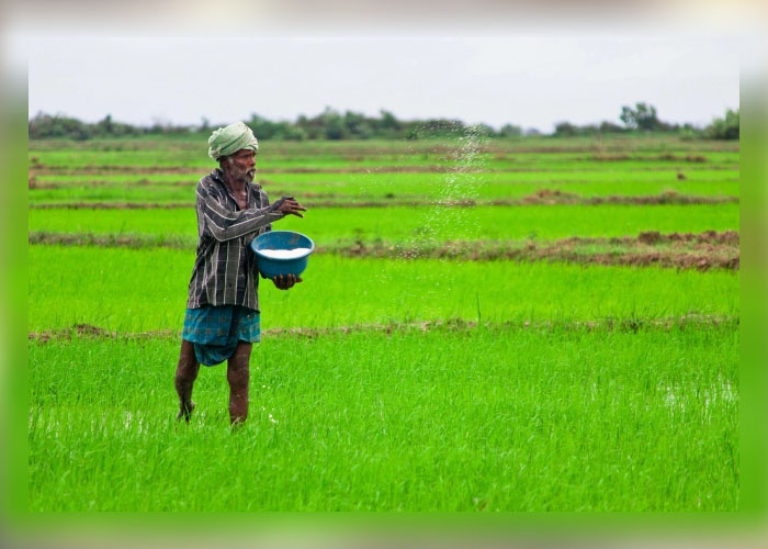 මහකන්නයට කාබනික පොහොර බෙදාහැරීම අද සිට