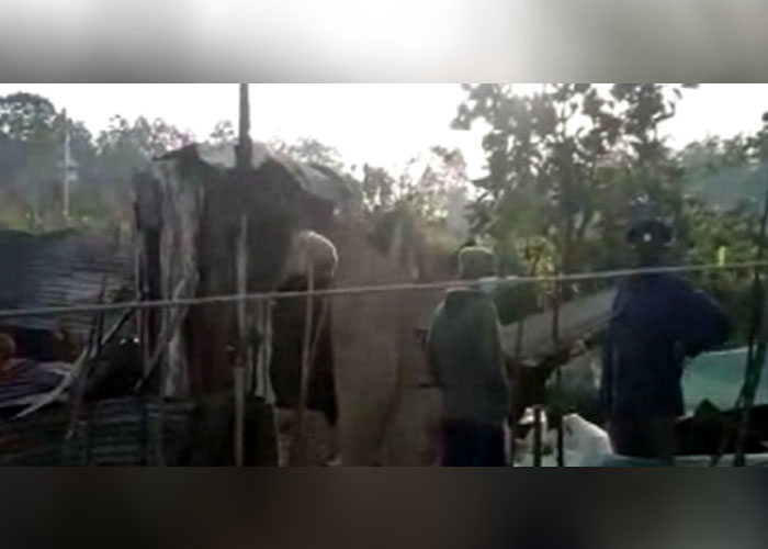නිවසක ඇතිවු ගින්නකින් කුඩා දරුවන් දෙදෙනෙකු ඇතුළු පුද්ගලයින් 05ක් මරුට