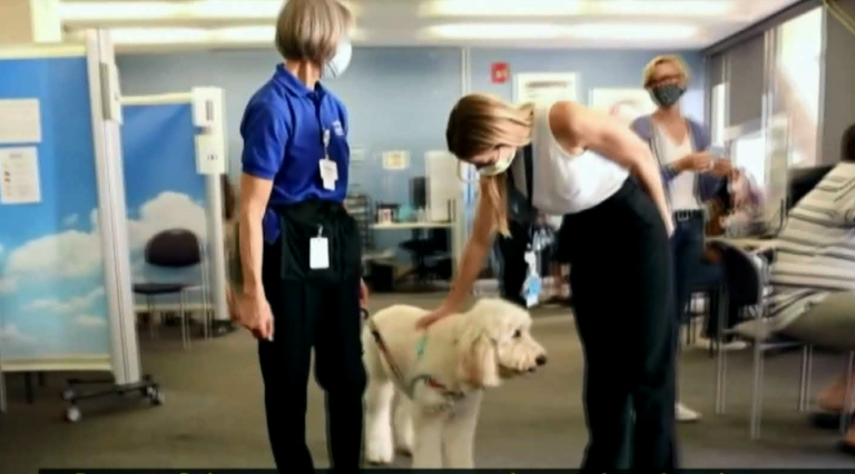 දරුවන්ට කොවිඩ් එන්නත ලබා ගැනීමට සහය වන අපූරු සුනඛයෙක්