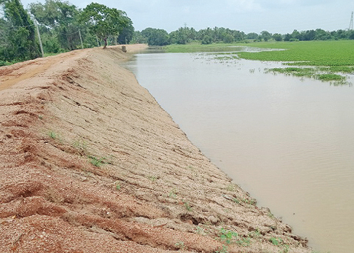 ලුණුපැහිච්චාව අවිධිමත් ප්‍රතිසංස්කරණ හේතුවෙන් බිදී යාමේ අවධානමක