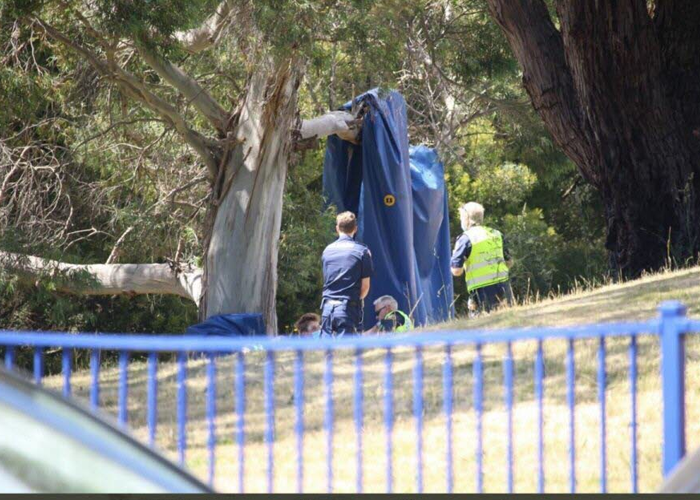 ඔස්ට්‍රේලියාව