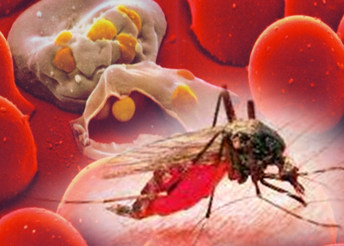 මැලේරියා