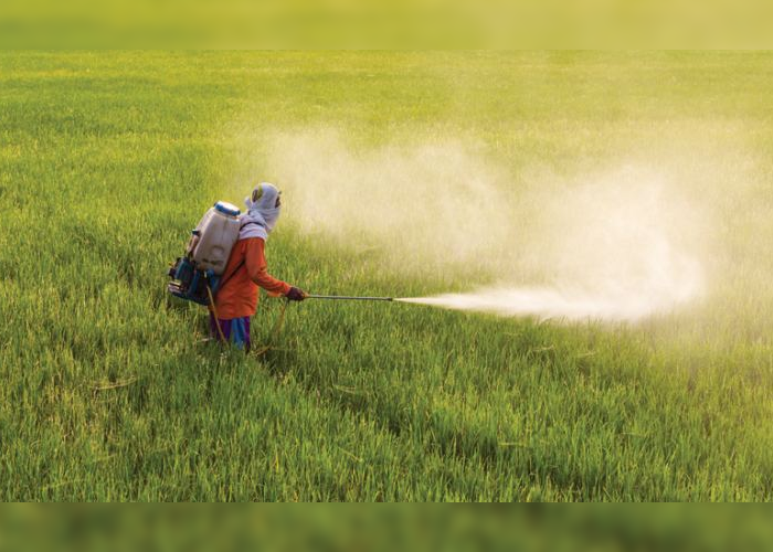 තවමත් රසායනික පොහොර ඉල්ලා ගොවීන් අරගලයේ