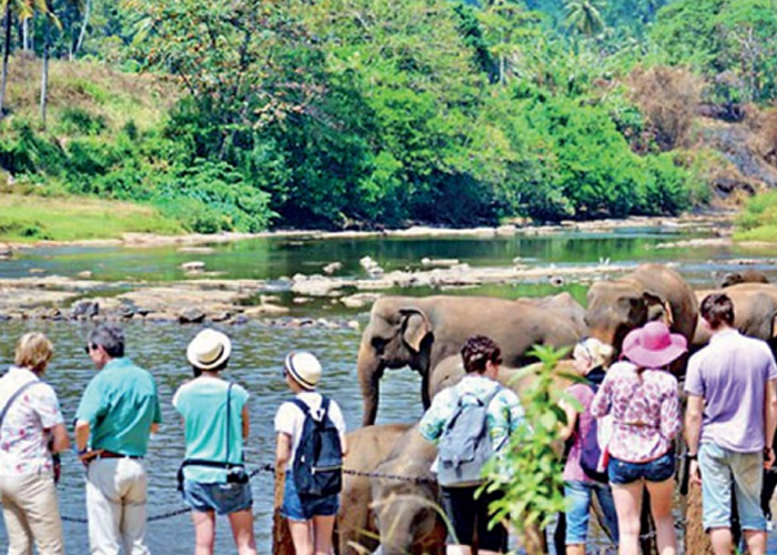 බිඳ වැටුණු සංචාරක කර්මාන්තයේ වර්ධනයක්