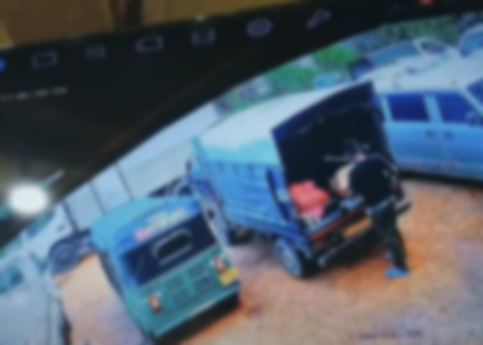 රත්‍රං, සල්ලි වෙනුවට දැන් හොරකම් කරන එළවලු