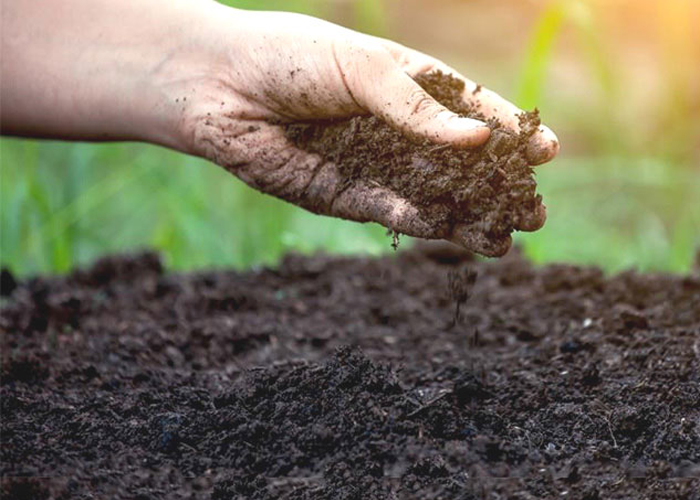 මිහින්තලේ කාබනික පොහොරවල ටයර් කෑලි