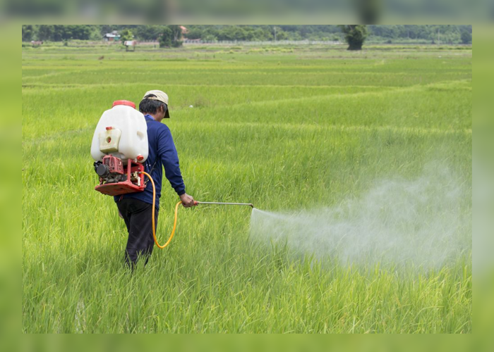 කබලෙන් ලිපට වැටුන ගිරිතලේ ගොවීන්