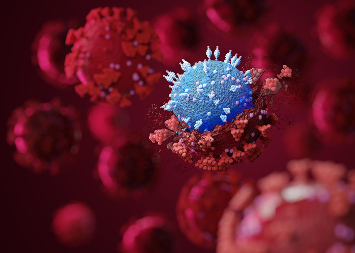 කොවිඩ් වසංගතය මීළග සියවස දක්වාම ගමන් කරනු ඇතැයි ඇමෙරිකාවේ විශේෂඥ කණ්ඩායමක් අනතුරු අඟවයි