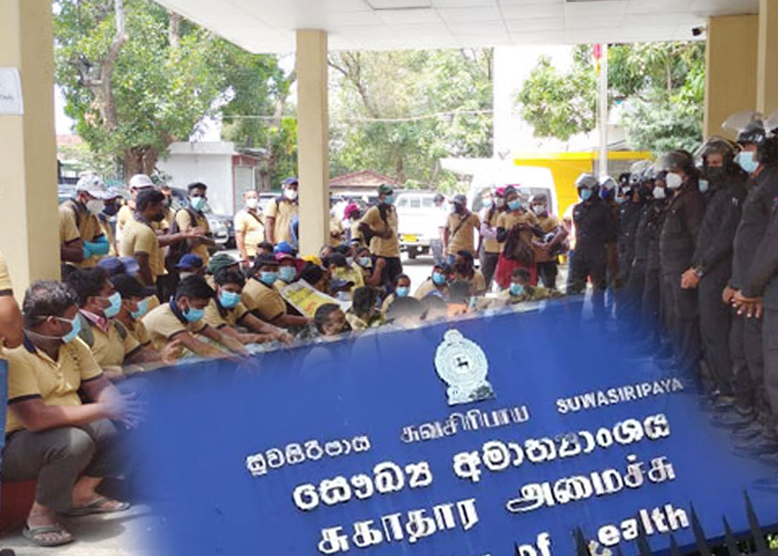 ඩෙංගු මර්දන සහායකයින්ගේ වෘත්තීය ක්‍රියාමාර්ගය අවසන්