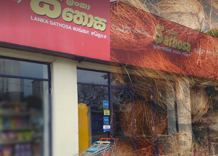 සහන මිලට සතොසින් පොල්