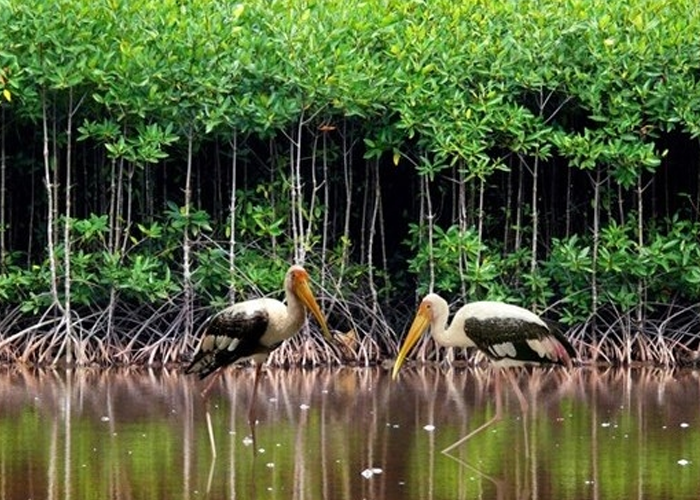 අද ලෝක තෙත් බිම් දිනයයි