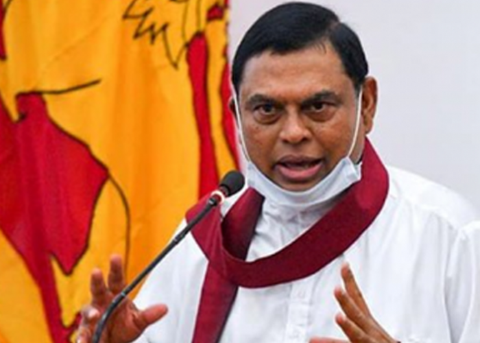 ඇමති බැසිල් නඩුවකින් නිදොස් කොට නිදහස්