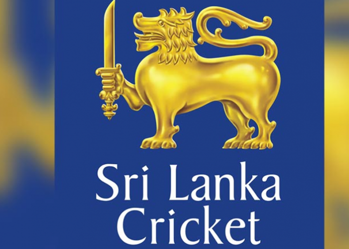 ක්‍රිකට්