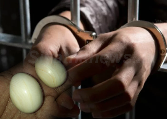 මිලකළ නොහැකි ගජමුතු සමඟ පුද්ගලයින් දෙදෙනෙකු අත්අඩංගුවට