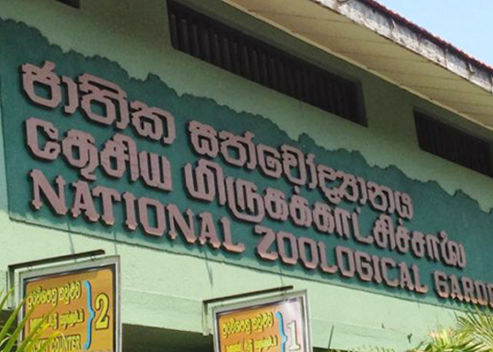 සත්වෝද්‍යාන නැරඹුම් ප්‍රවේශපත්‍ර ගාස්තුවේ වෙනසක්