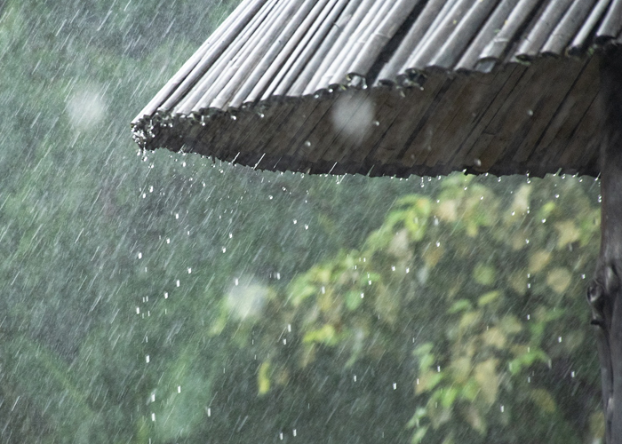 පස්වරු 2.00න් පසුව තැනින් තැන වැසි