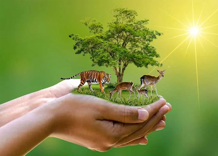 වනජීවී දිනය