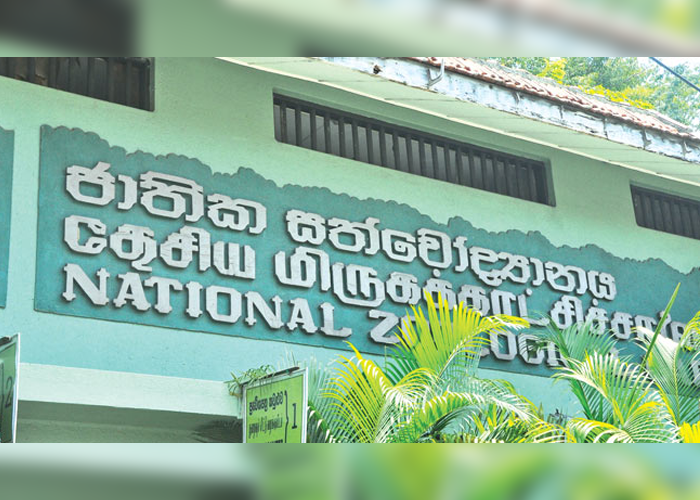 සත්වෝද්‍යාන දෙපාර්තමේන්තුවට නව අධ්‍යක්ෂ ජනරාල්වරයෙක්