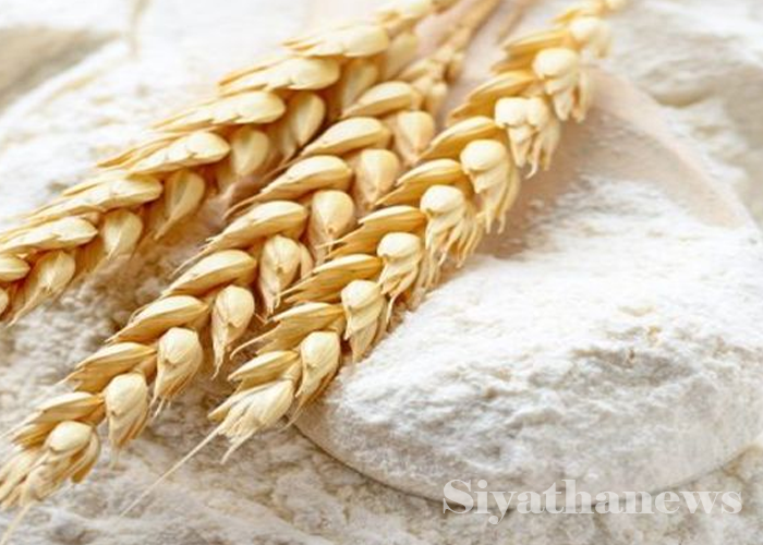 තිරිඟු පිටි මිල ඉහළට