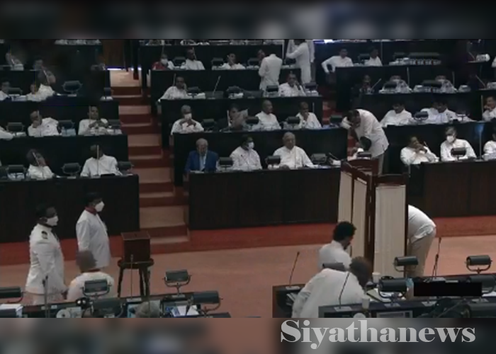 නියෝජ්‍ය කථානායක තේරීමට ඡන්දයක්