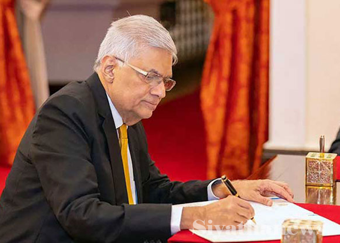 වැඩබලන ජනපති දිවුරුම් දෙයි – ජනපති කොඩිය අහෝසි