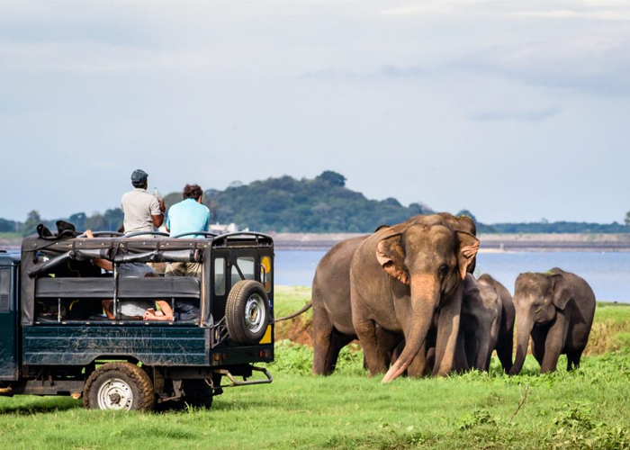දිනෙන් දින බිඳ වැටෙන සංචාරක කර්මාන්තය