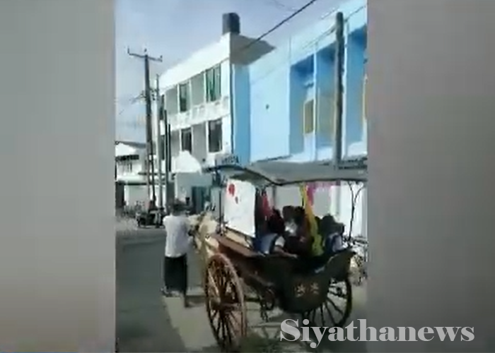 යළි ඇරඹෙන ගොන් කරත්ත යුගය