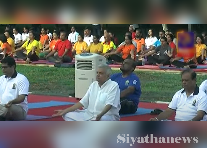අගමැති සහ මැති ඇමතිවරු යෝගා දිනය සමරයි