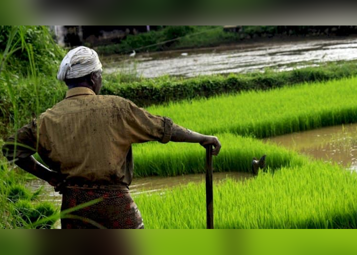 කෘෂිකාර්මික කටයුතු සඳහා ග්ලයිෆොසේට් ආනයනයට කැබිනට් අනුමැතිය