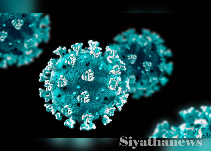 චීනයේ කොවිඩ් ව්‍යාප්තිය ඉහළට