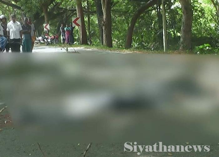 තරුණයකුගේ මළසිරුරක් තඹුත්තේගමදී හමුවෙයි