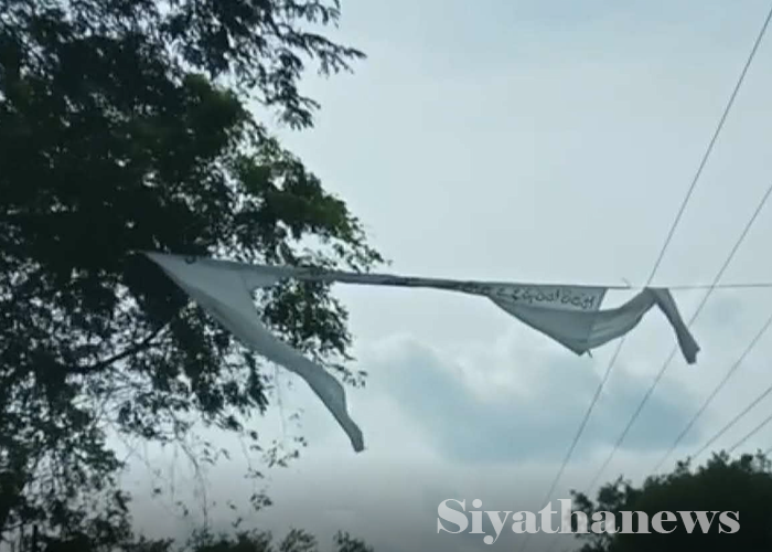 ඊයේ රාත්‍රියේ සිට අද උදෑසන දක්වා වන අලි රජරට ජීවිත තුනක් බිලි ගනී