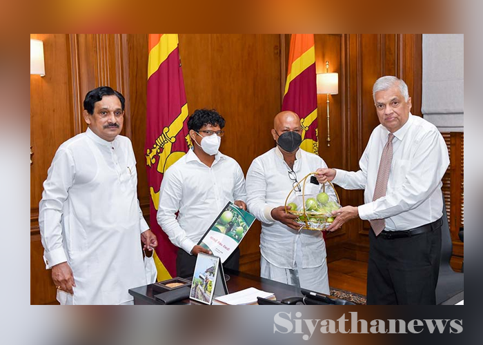 ජනපති