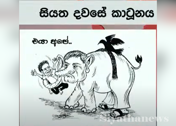 සියත දවසේ කාටූනය