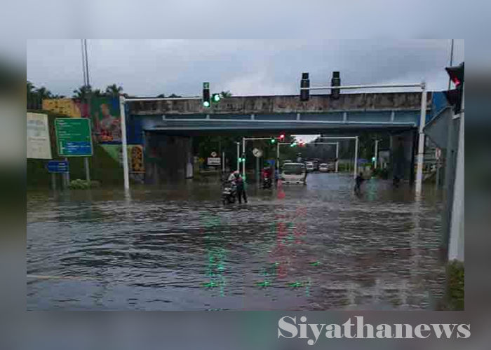 වැලිපැන්න